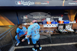 World Series Blue Jays Dodgers Baseball