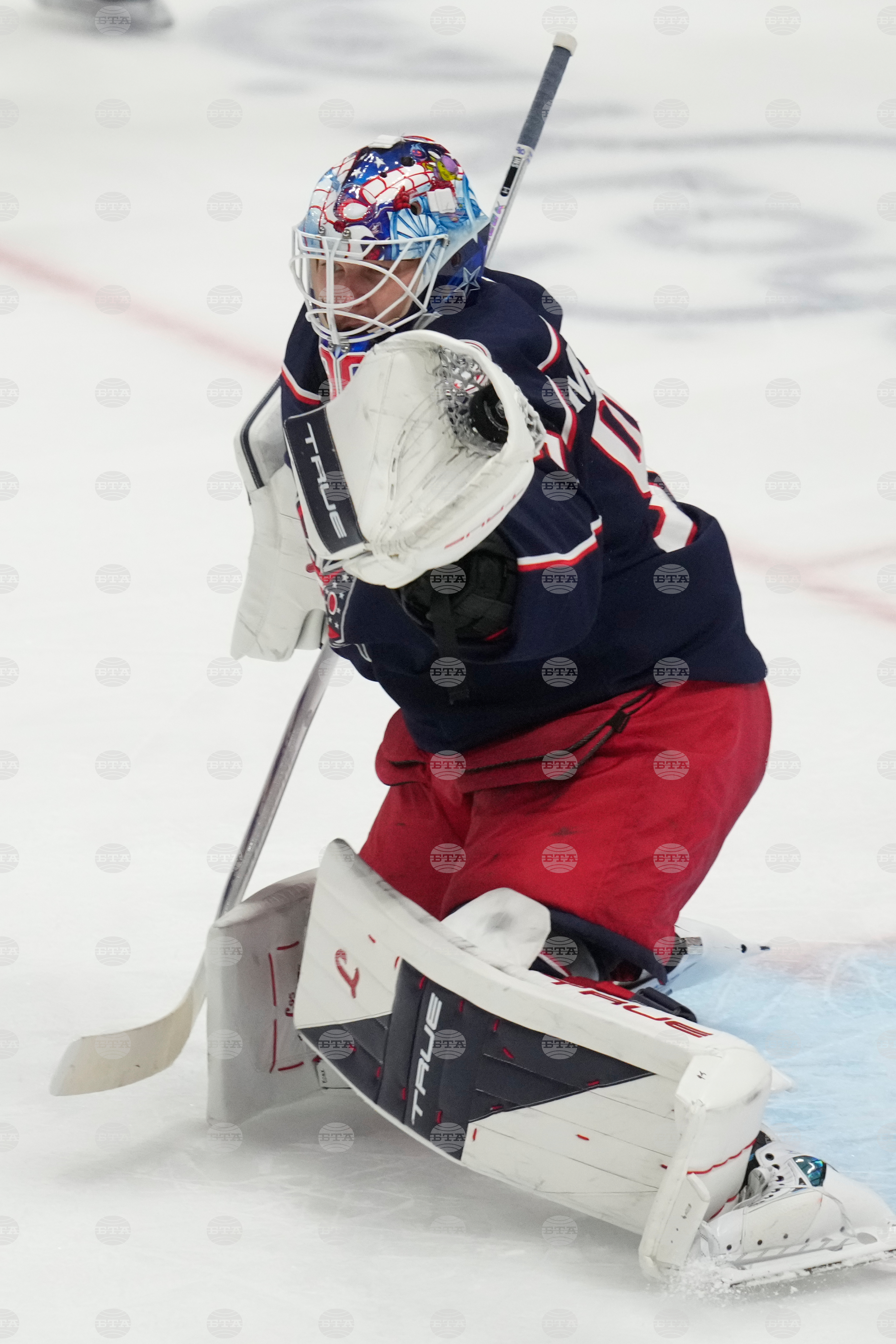 Maple Leafs Blue Jackets Hockey