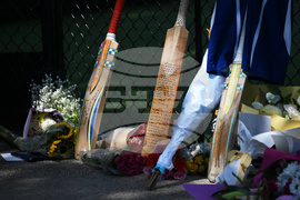 Australia Cricket Teenage Player Death