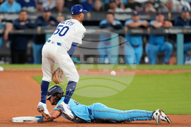 World Series Blue Jays Dodgers Baseball