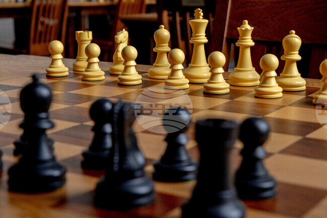 АНП: Почина нидерландският шахматист Ян Тиман 