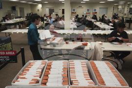 US Elections 2025 Early Voting