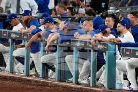 World Series Blue Jays Dodgers Baseball