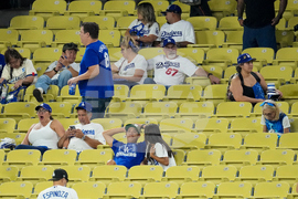 World Series Blue Jays Dodgers Baseball