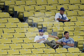 World Series Blue Jays Dodgers Baseball