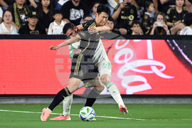 MLS Austin LAFC Soccer