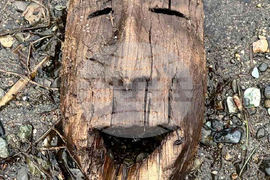 Alaska Typhoon Aftermath Artifacts