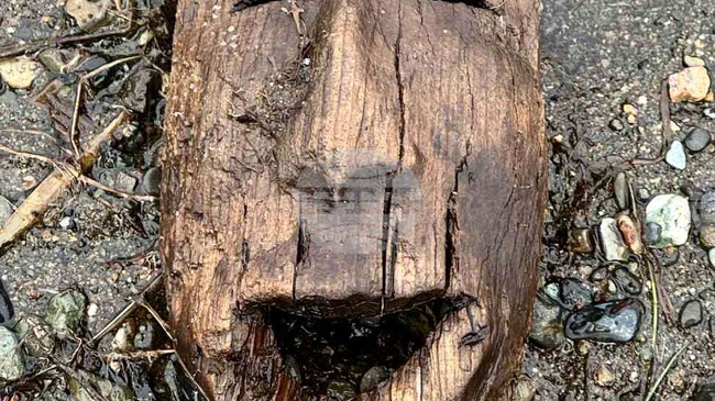 Открити са около хиляда артефакта от археологически разкопки в Югозападна Аляска, разпръснати от бурята през октомври