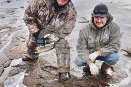 Alaska Typhoon Aftermath Artifacts