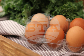 Be Well Food Storage