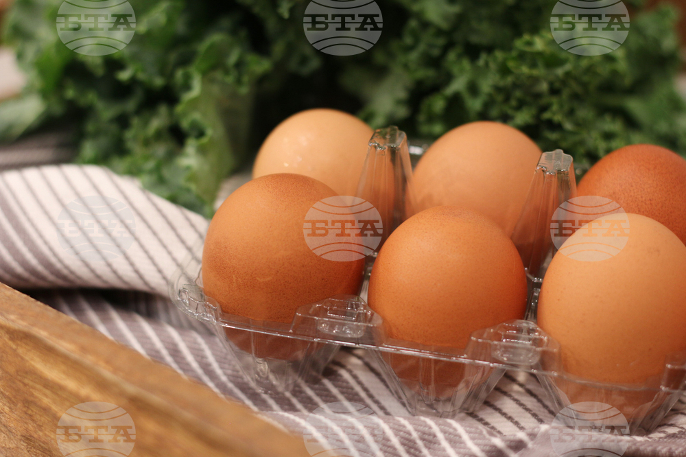 Be Well Food Storage