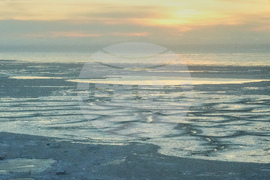 Alaska Typhoon Artifacts