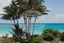 Australia Cruise Death