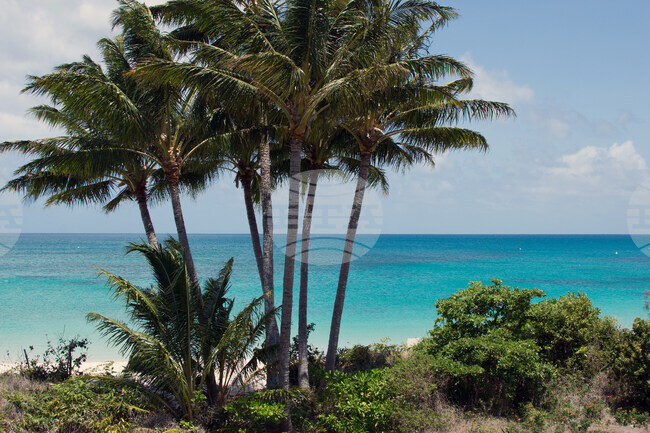 Australia Cruise Death