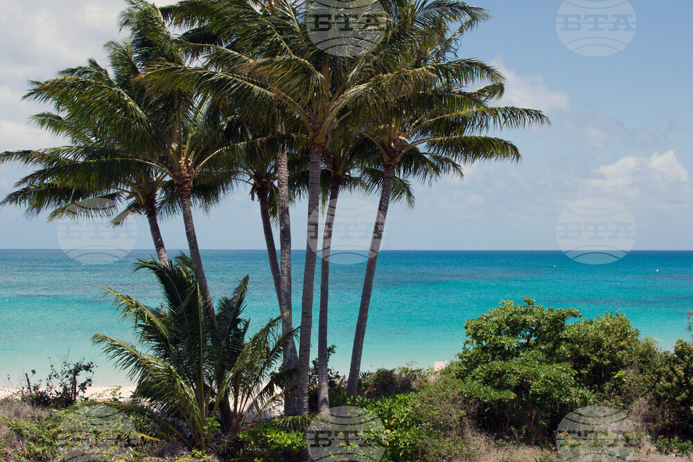 Australia Cruise Death