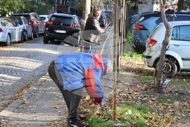 Столичен квартал „Павлово“ - кмет - брифинг