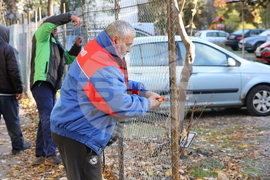 Столичен квартал „Павлово“ - кмет - брифинг