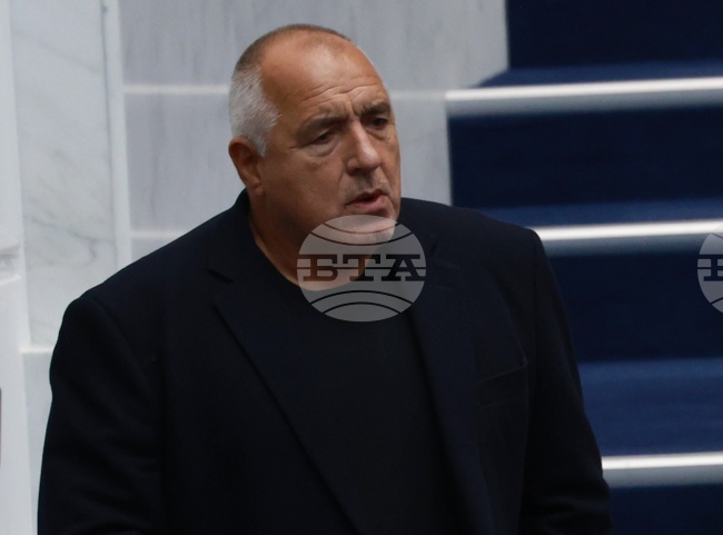 GERB Leader Sets Red Line at 3% Deficit for 2026 Budget