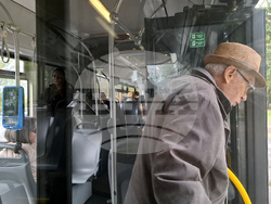 Столица - градски транспорт - ежедневие