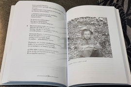 Варна - Иван Станев - книга „Избитите обитатели“