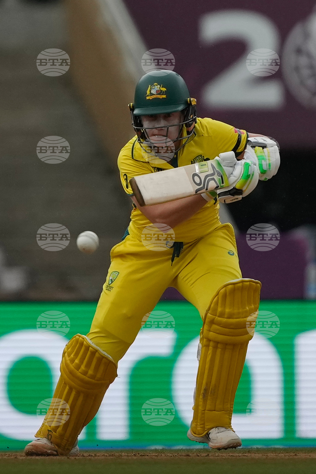 India Women's Cricket WCup