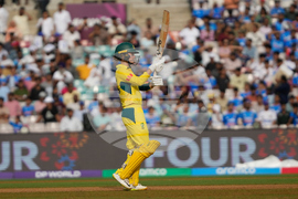 India Women's Cricket WCup