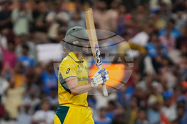 India Women's Cricket WCup