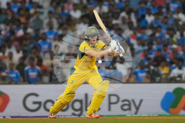 India Women's Cricket WCup