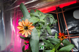 Space Station-25th Anniversary