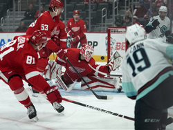 Kraken Red Wings Hockey