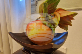 Хасково - Дни на японската култура - икебана