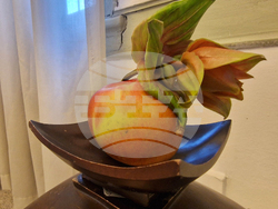 Хасково - Дни на японската култура - икебана