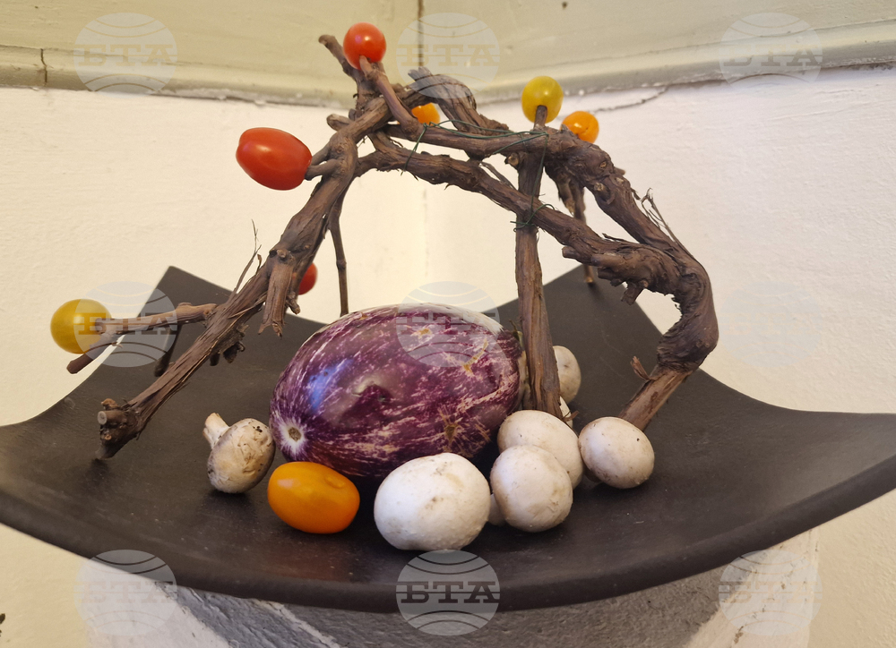 Хасково - Дни на японската култура - икебана