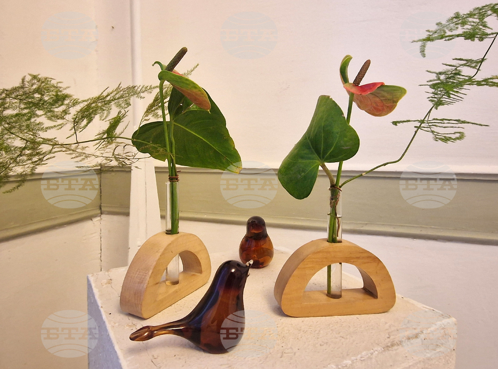 Хасково - Дни на японската култура - икебана