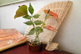 Хасково - Дни на японската култура - икебана