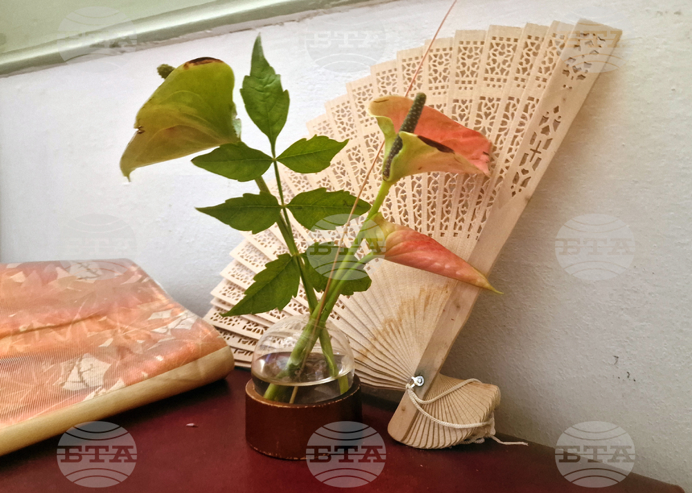 Хасково - Дни на японската култура - икебана