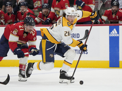 Predators Panthers Hockey