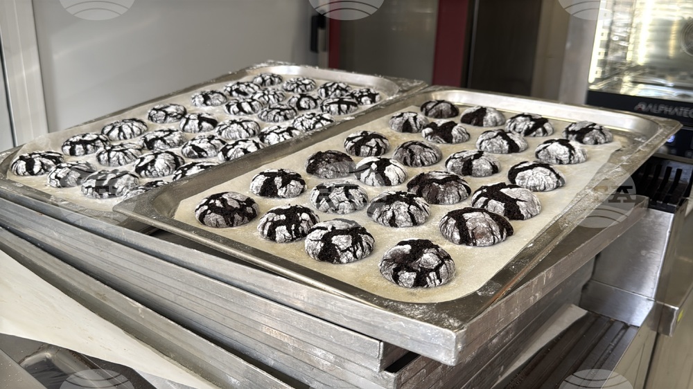 Казанлък - Работилничка "Бисквитките" - социално предприятие