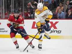 Predators Panthers Hockey