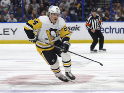 Penguins Lightning Hockey