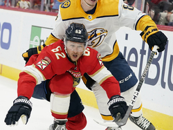 Predators Panthers Hockey