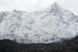 Austria Alpine Skiing World Cup