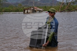 Pictures of the Week Global Photo Gallery