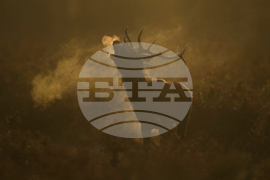 Pictures of the Week Global Photo Gallery