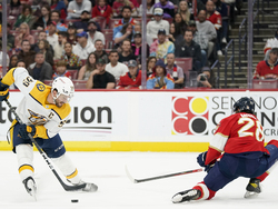 Predators Panthers Hockey