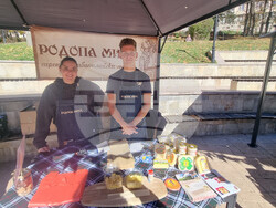 Смолян - изложение