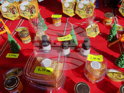 Смолян - изложение