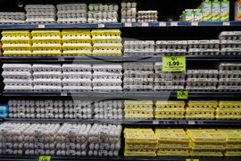 Government Shutdown Food Aid