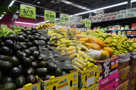 Government Shutdown Food Aid