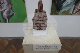 Видин - Петър Йедличка - изложба - откриване